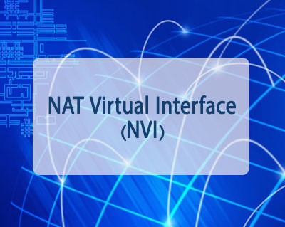 NAT Virtual Interface (NVI)